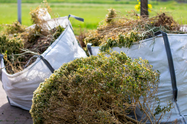 Best Yard Cleanup Services  in Chester Gap, VA
